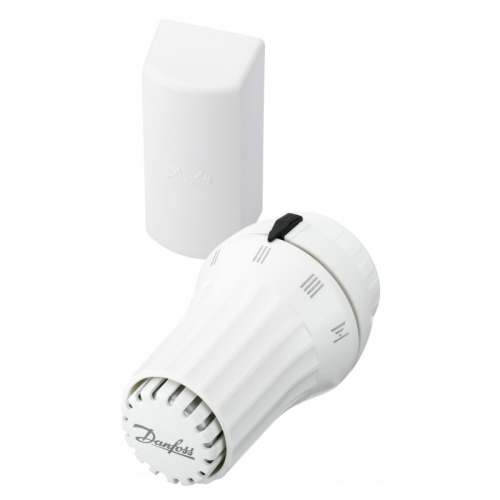 Термостатический элемент RAE 5056