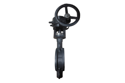 Затвор дисковый ЗДМ 2FG PN25 DN450 фланцевый с редукторным приводом ; корпус, диск - сталь