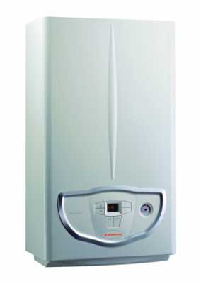 Настенный, двухконтурный газовый котел с 2-мя раздельными теплообменниками IMMERGAS Mini Nike 24 3 E