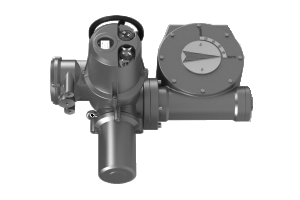 Электропривод AMB-M-20 + MY-4-1SD 220В без блока управл. IP67/IP65; для ШК RJIP DN500 станд.прох. или DN400 полн.прох, Ридан